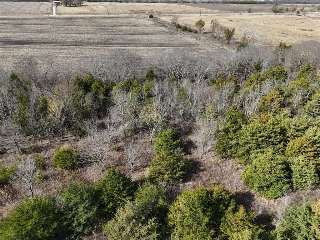 13 acres in Delta County - photo 9