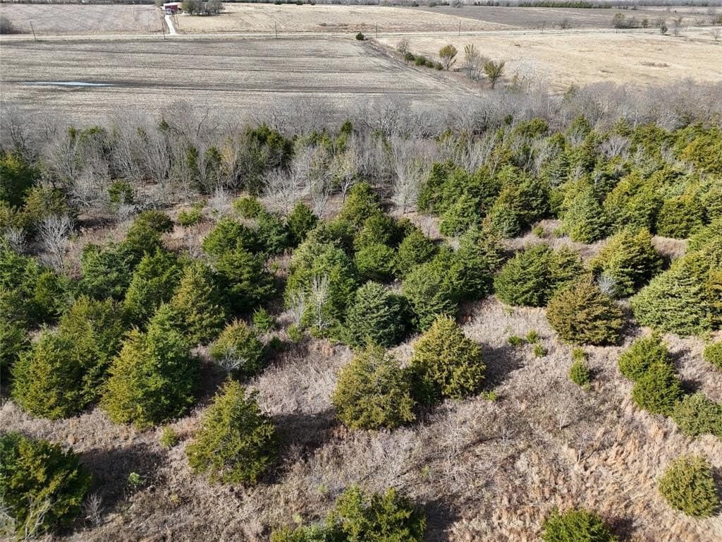 13 acres in Delta County - photo 3