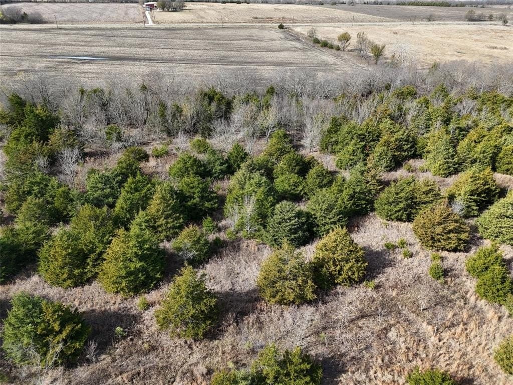 13 acres in Delta County - photo 8