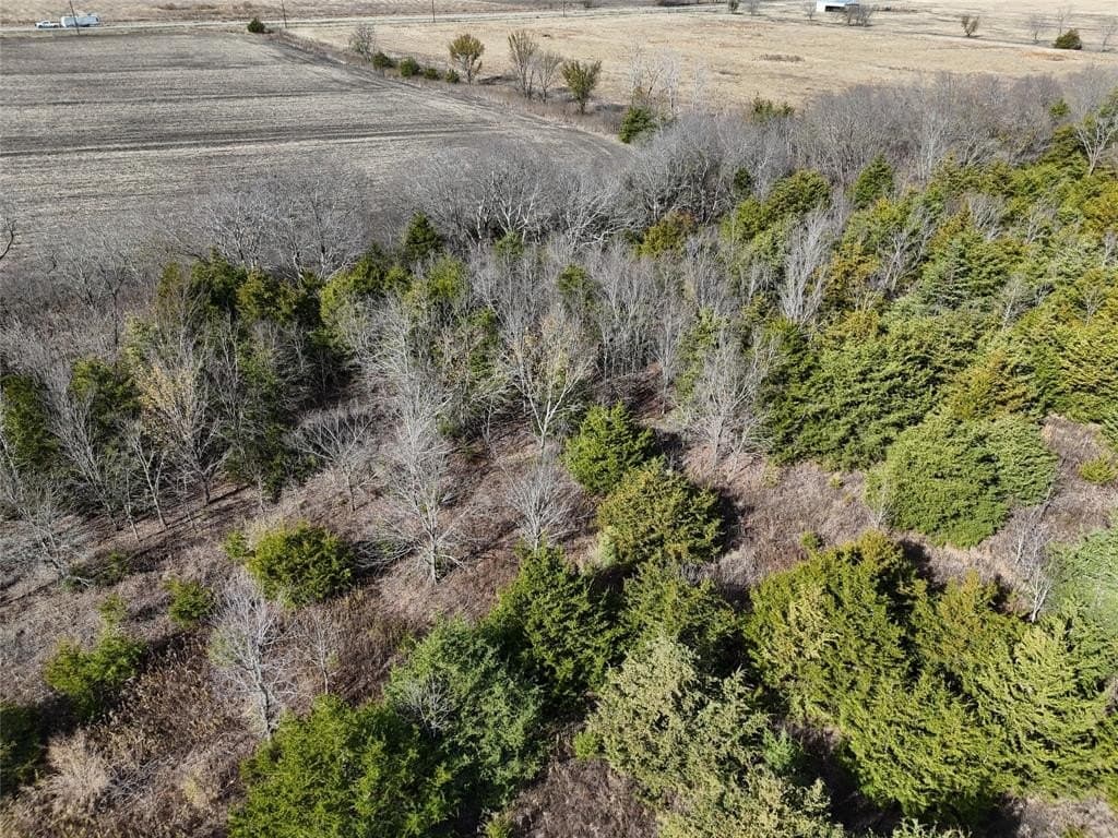 13 acres in Delta County - photo 7