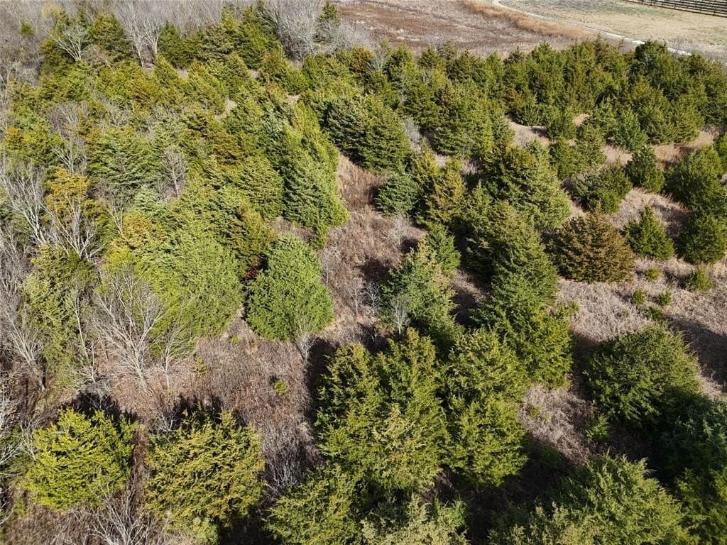 13 acres in Delta County - photo 2