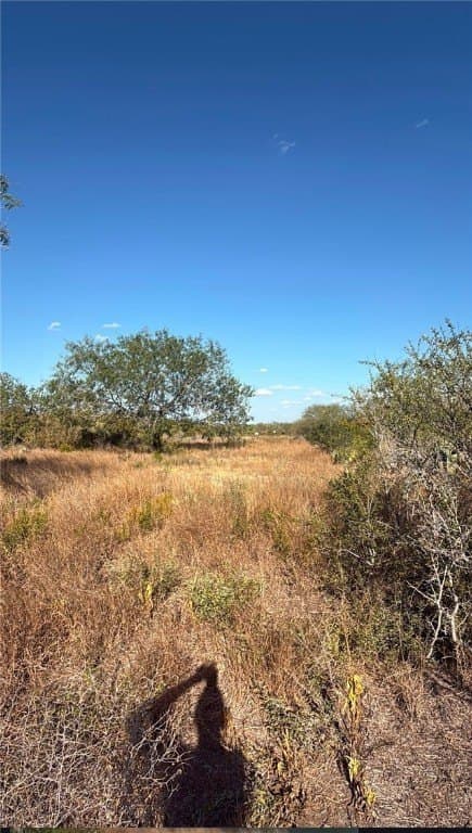 71.32 acres in Duval County - photo 2