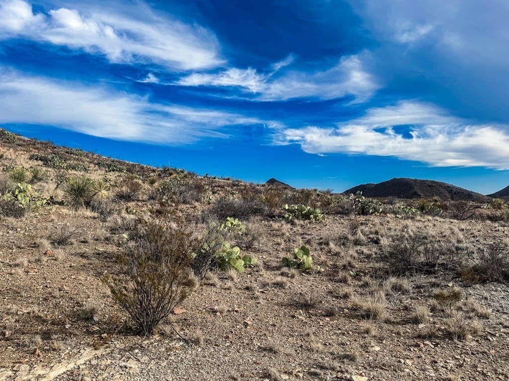 10.06 acres in Brewster County - photo 11