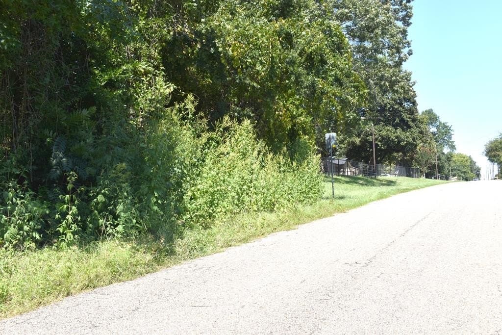 22.55 acres in ANDERSON County - photo 14