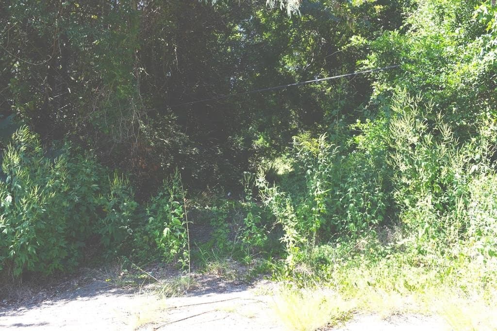 22.55 acres in ANDERSON County - photo 15
