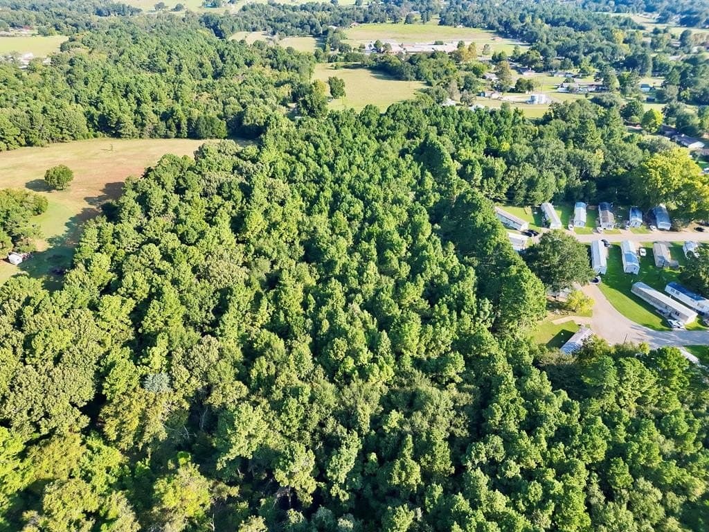 22.55 acres in ANDERSON County - photo 11