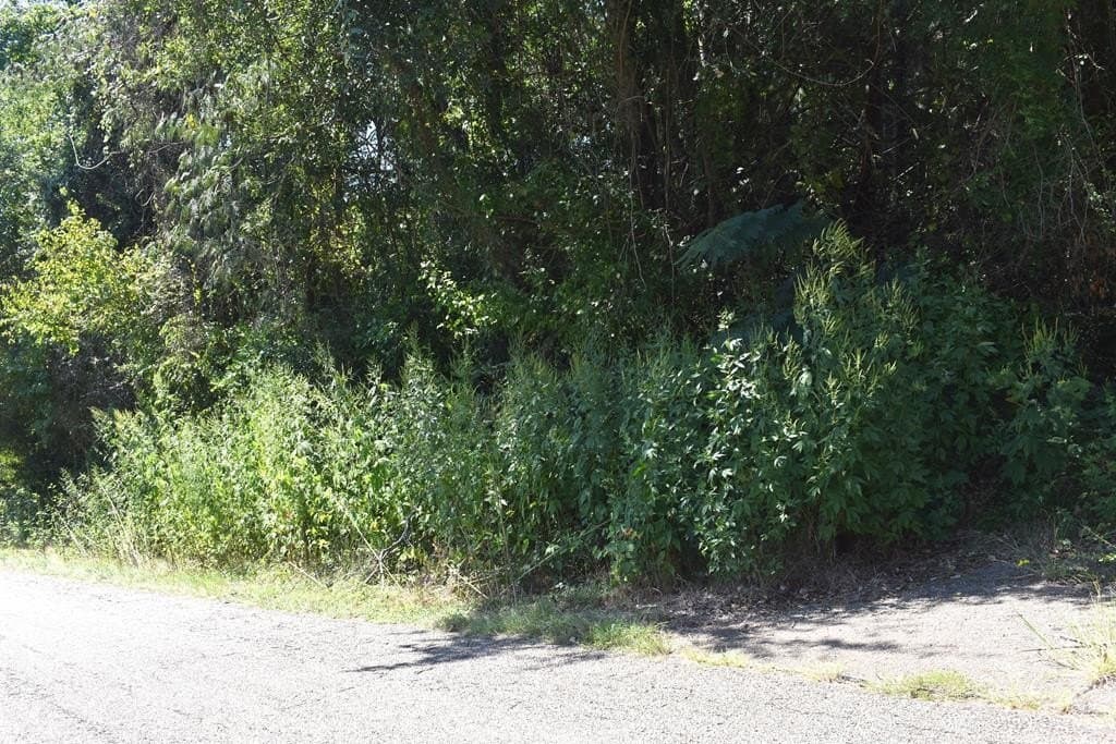22.55 acres in ANDERSON County - photo 12