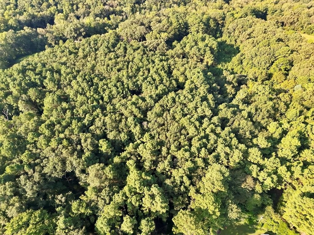 22.55 acres in ANDERSON County - photo 9