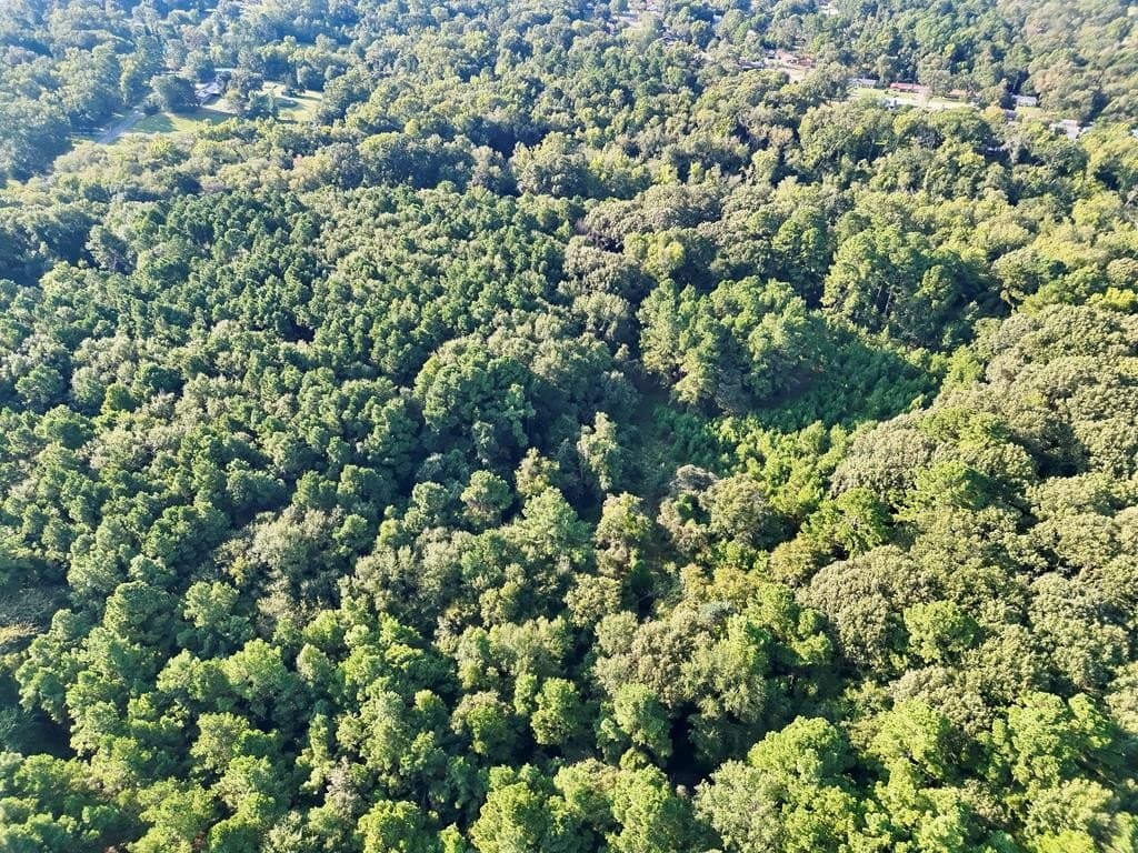 22.55 acres in ANDERSON County - photo 7
