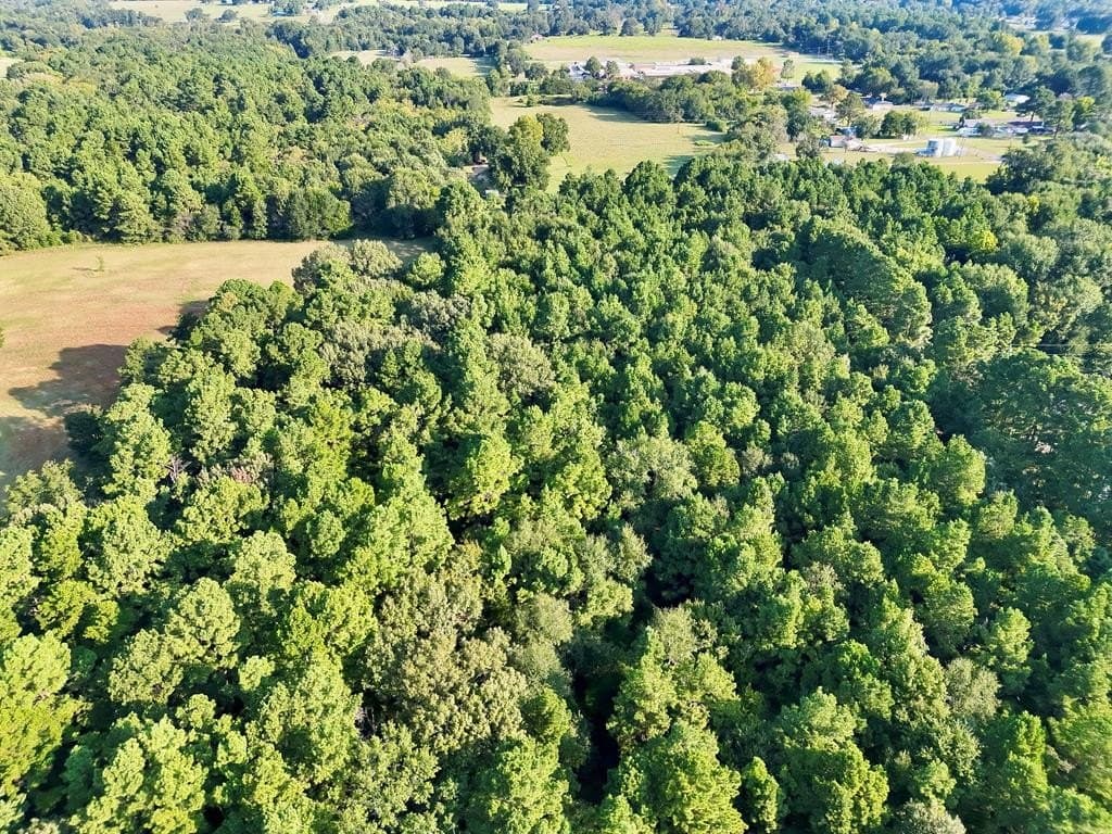 22.55 acres in ANDERSON County - photo 10
