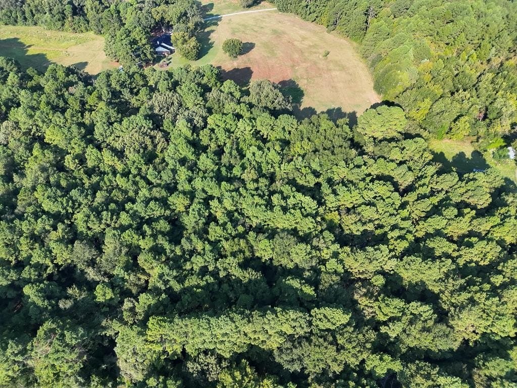 22.55 acres in ANDERSON County - photo 8