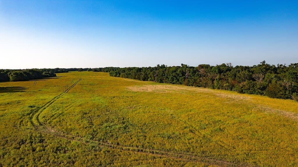 3.75 acres in Milam County - photo 5