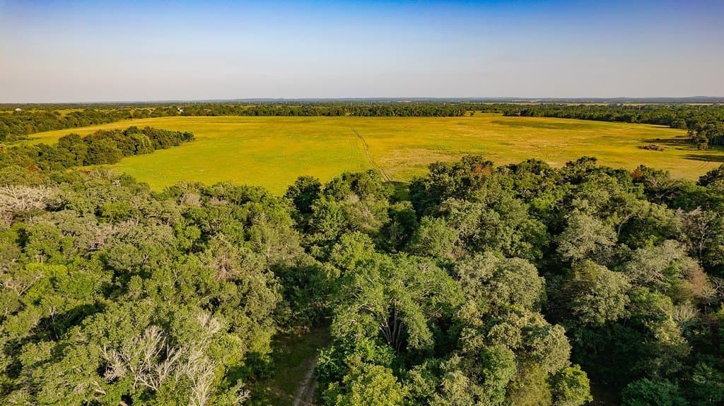 3.75 acres in Milam County - photo 6