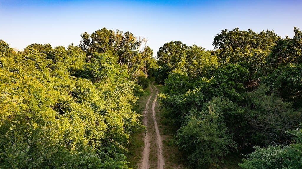 3.75 acres in Milam County - photo 7