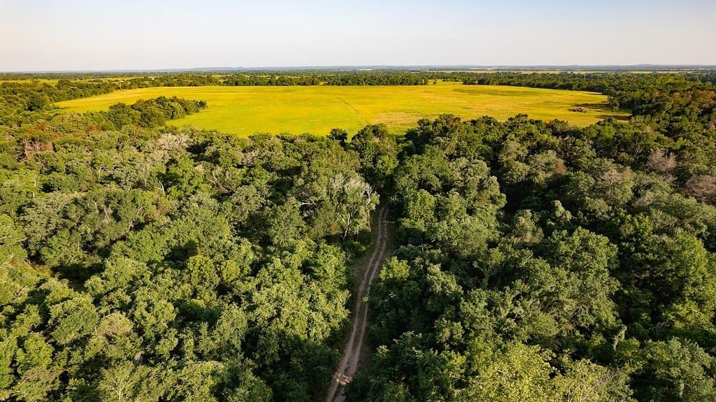 3.75 acres in Milam County - photo 3