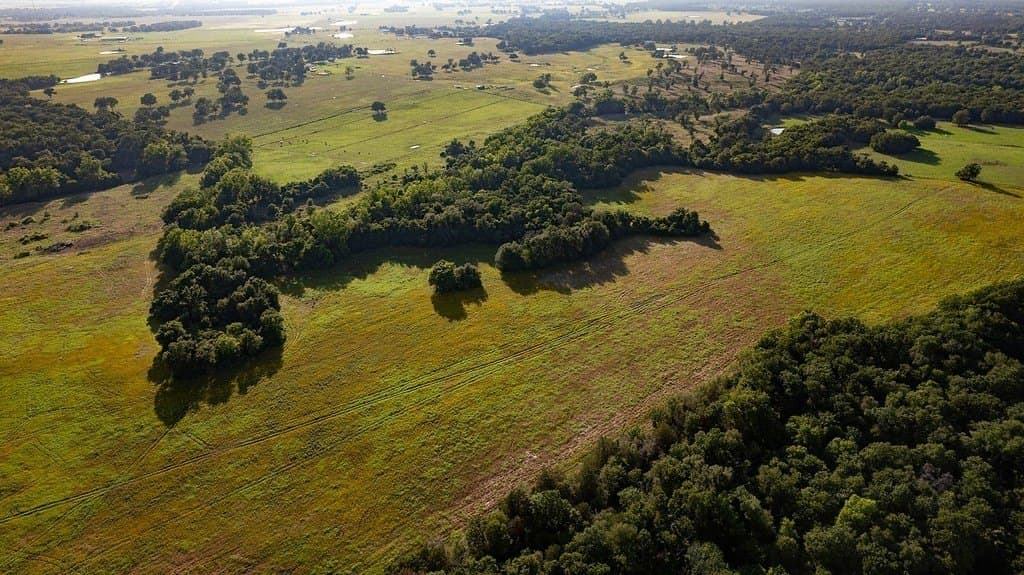 3.75 acres in Milam County - photo 4