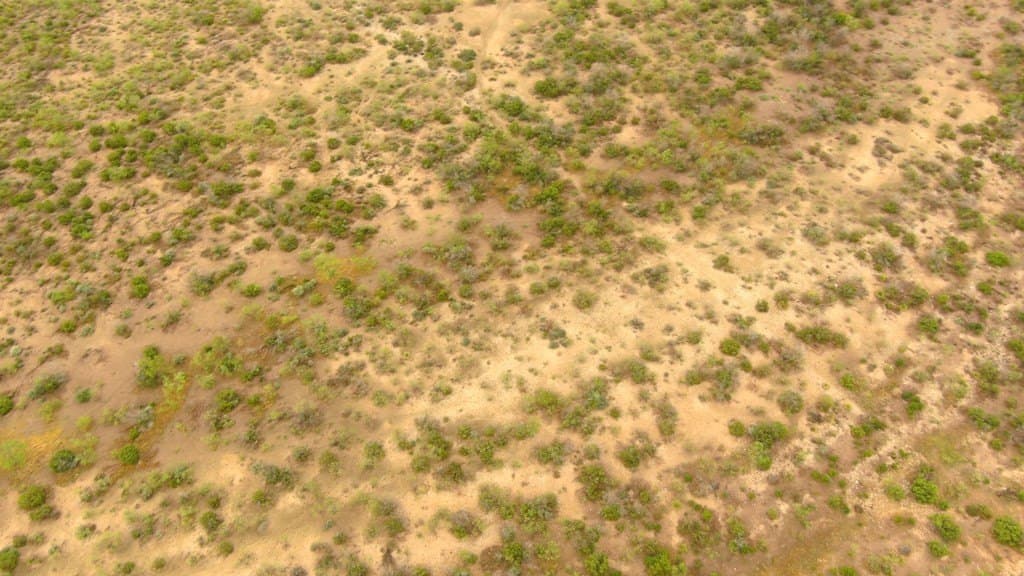 100 acres in Crockett County - photo 32