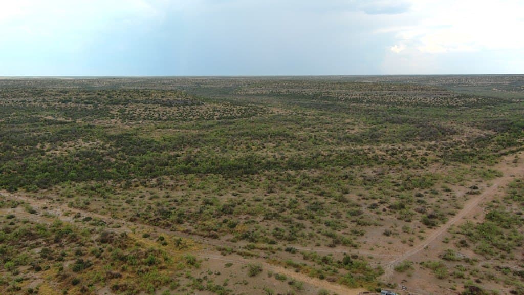 100 acres in Crockett County - photo 28
