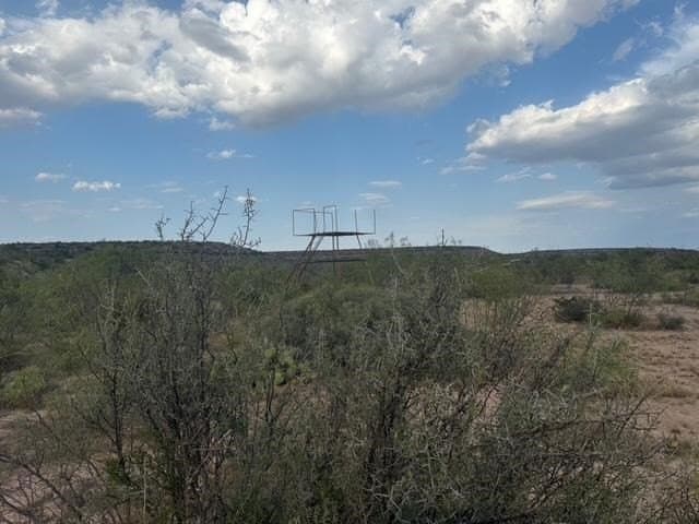100 acres in Crockett County - photo 11