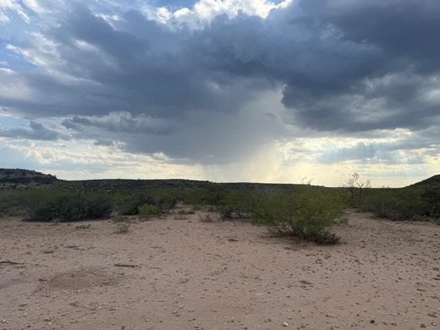 100 acres in Crockett County - photo 4