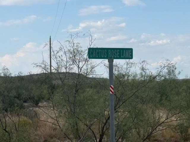 100 acres in Crockett County - photo 3