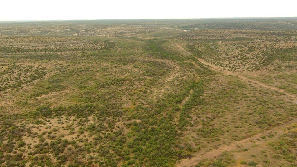 100 acres in Crockett County - photo 31