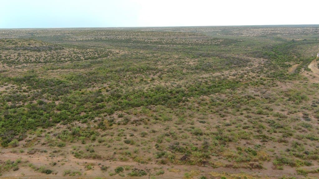 100 acres in Crockett County - photo 29