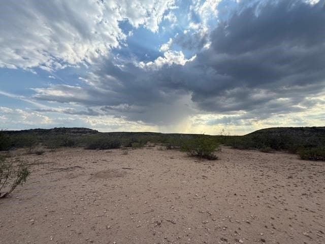 100 acres in Crockett County - photo 5