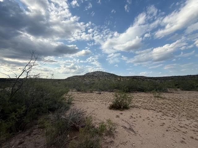 100 acres in Crockett County - photo 6
