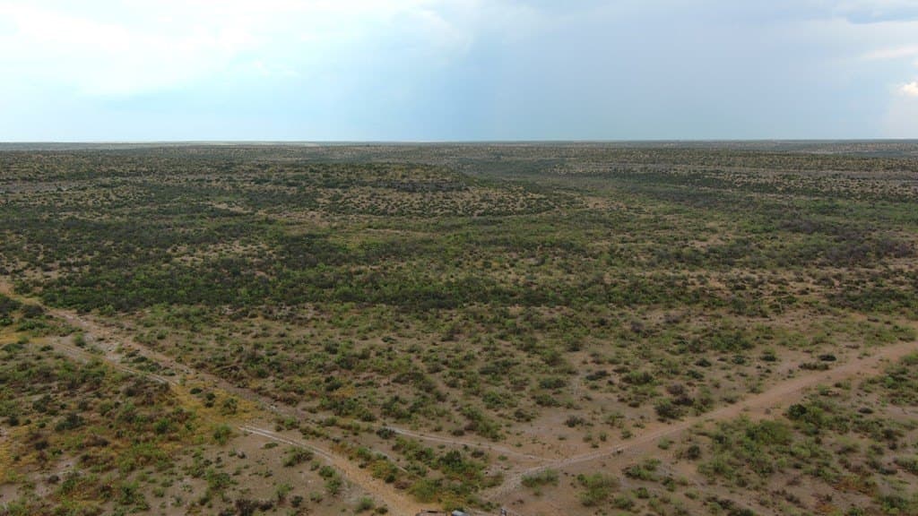 100 acres in Crockett County - photo 27