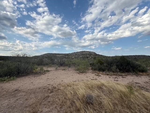 100 acres in Crockett County - photo 8