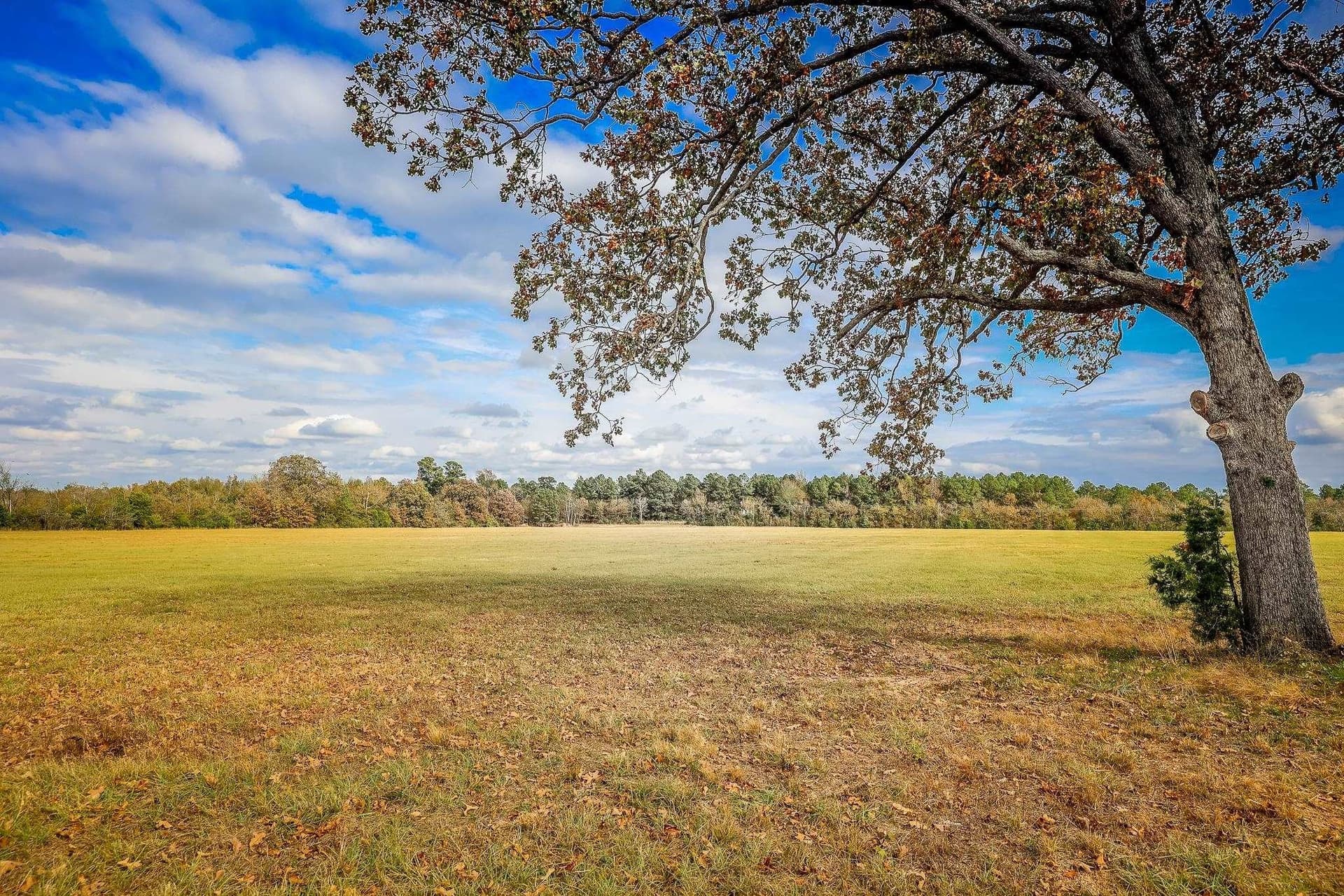 20 acres in Smith County - photo 9