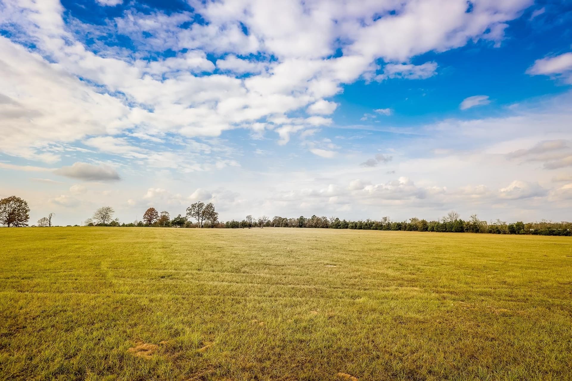 20 acres in Smith County - photo 5