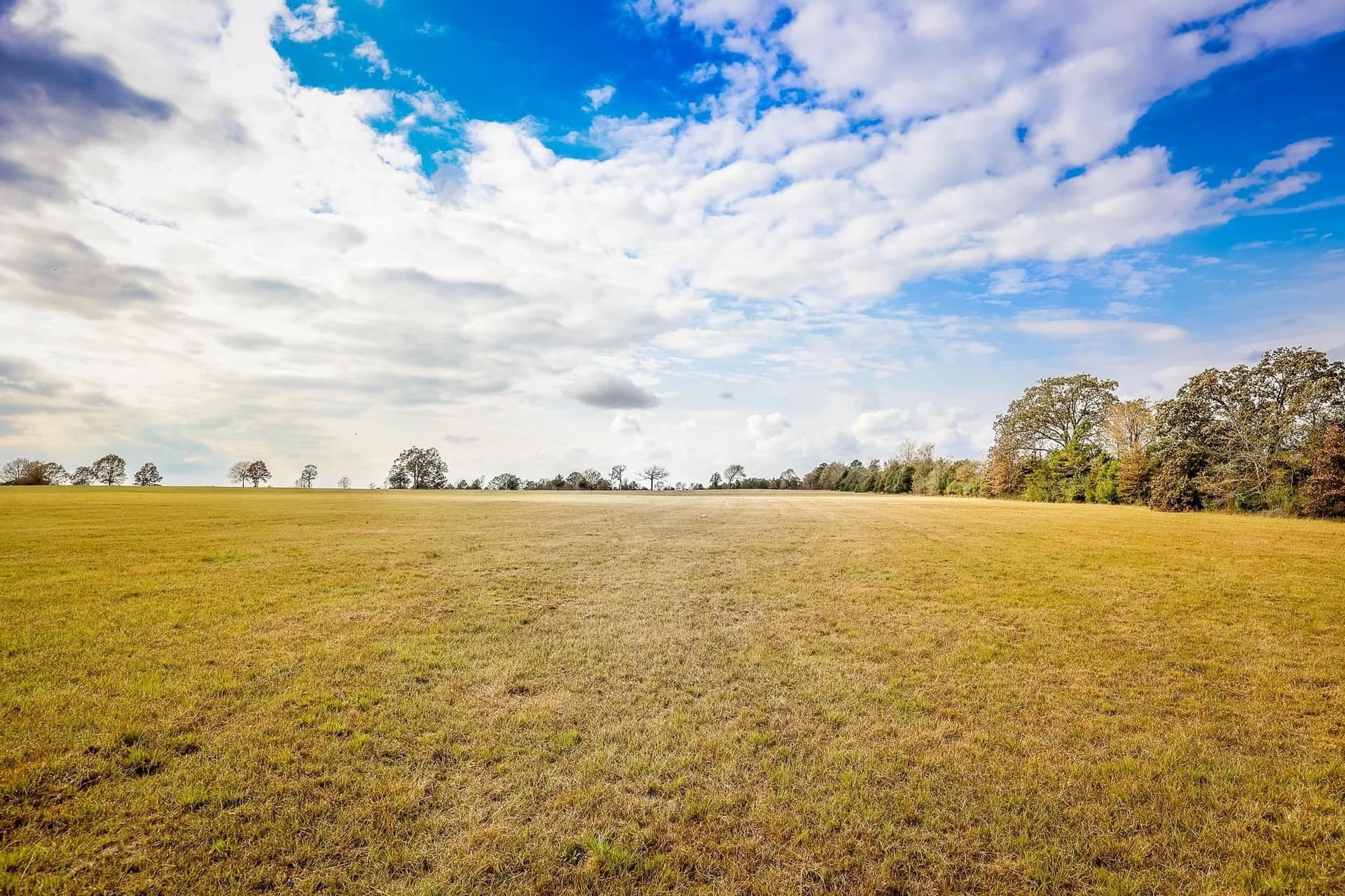 20 acres in Smith County - photo 3