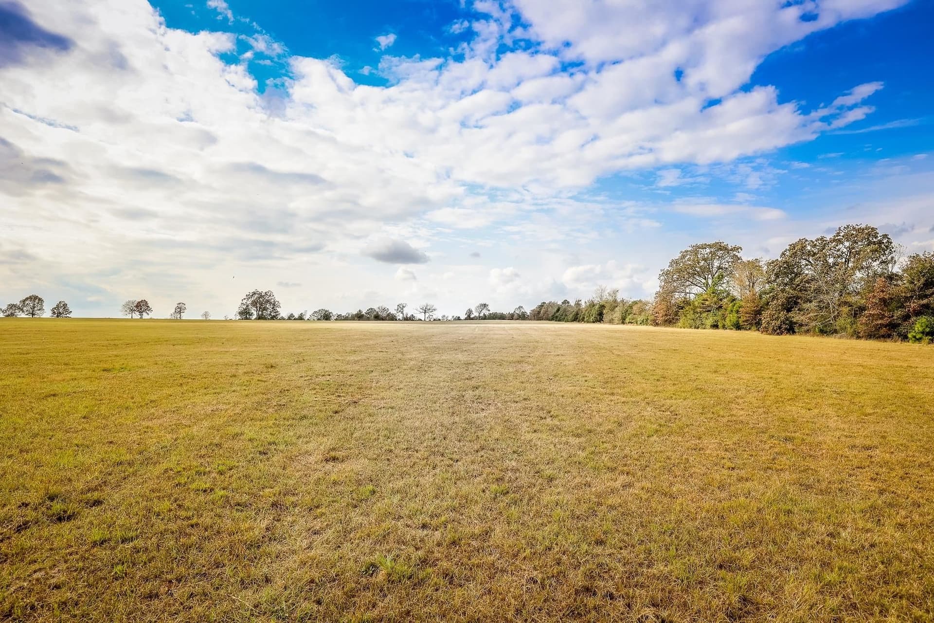 20 acres in Smith County - photo 2