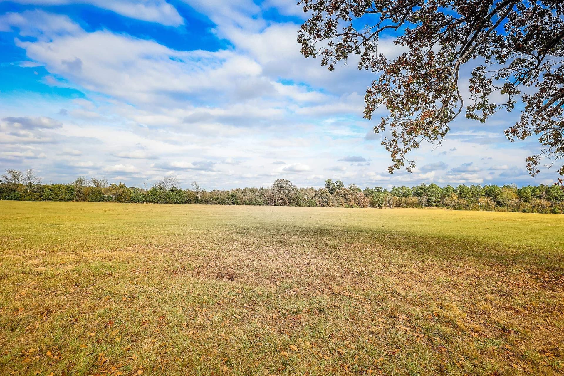 20 acres in Smith County - photo 10