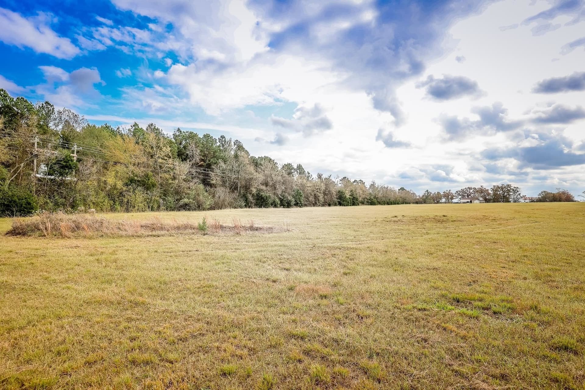 20 acres in Smith County - photo 4
