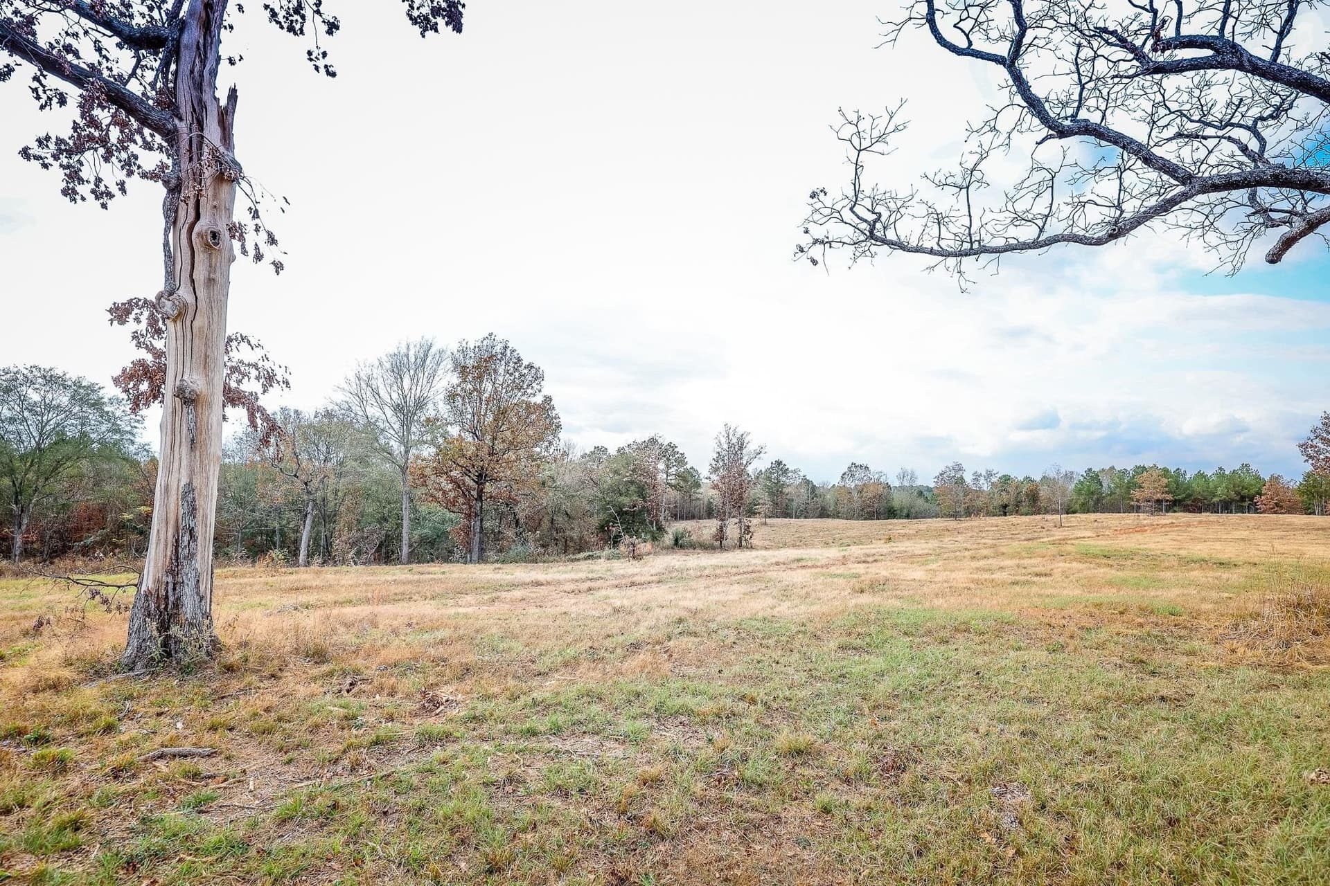 20 acres in Smith County - photo 11