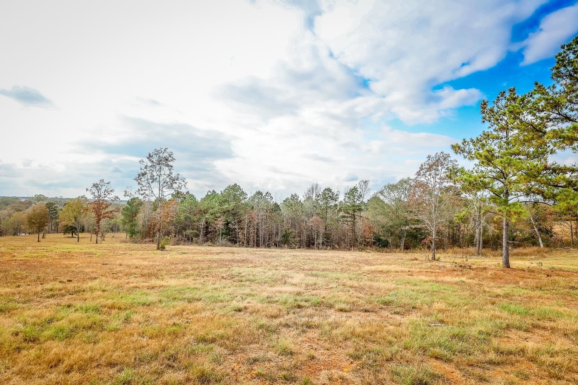 20 acres in Smith County - photo 8