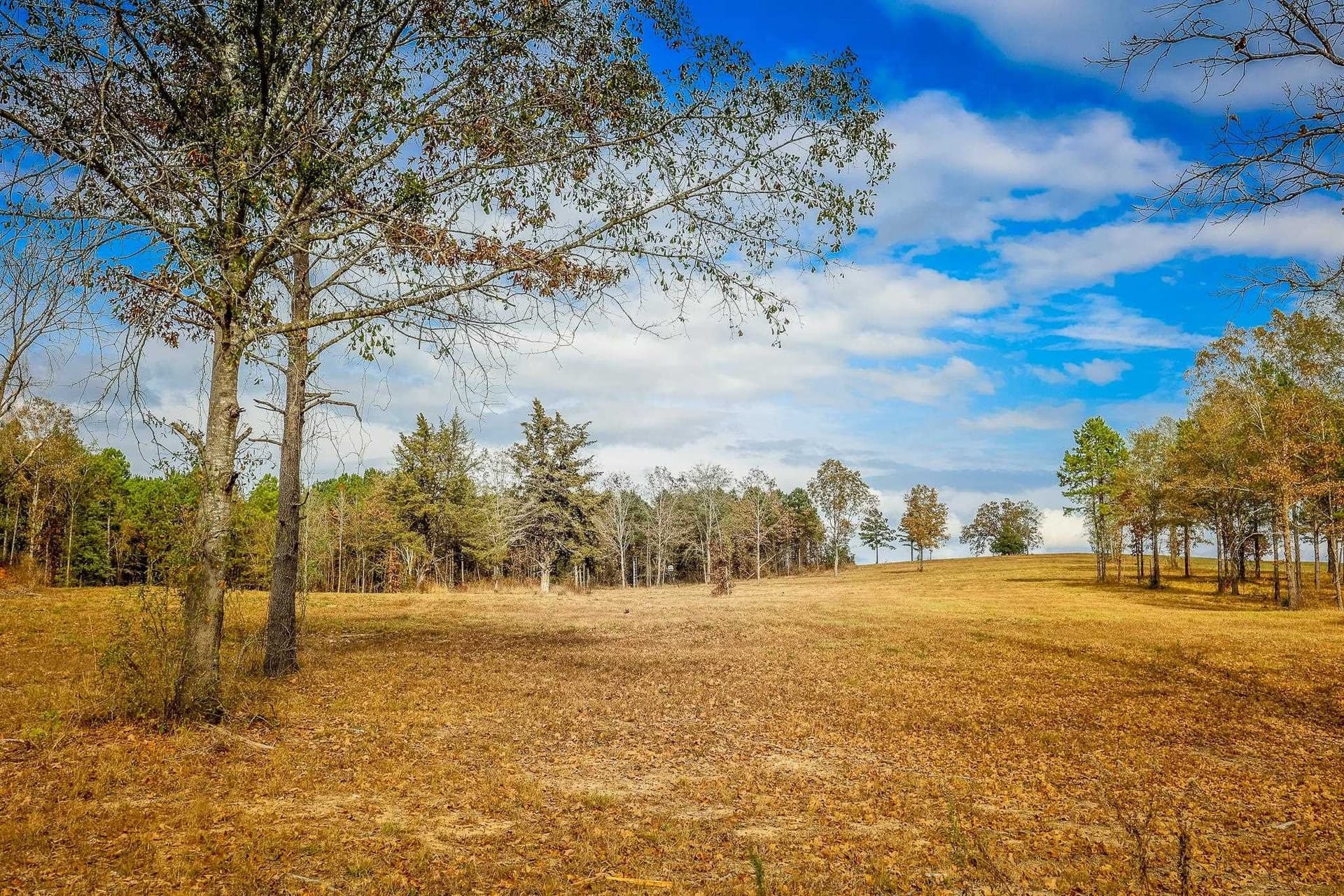 20 acres in Smith County - photo 6