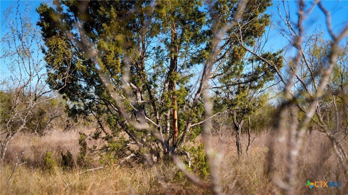 400 acres in McCulloch County - photo 6