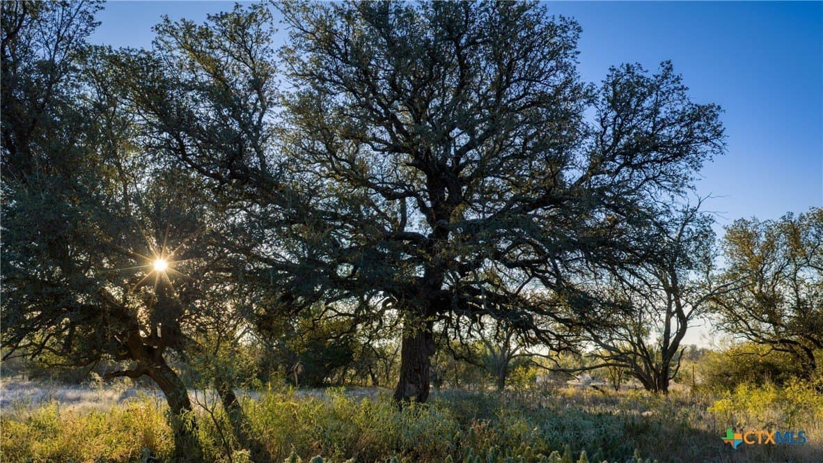 400 acres in McCulloch County - photo 36