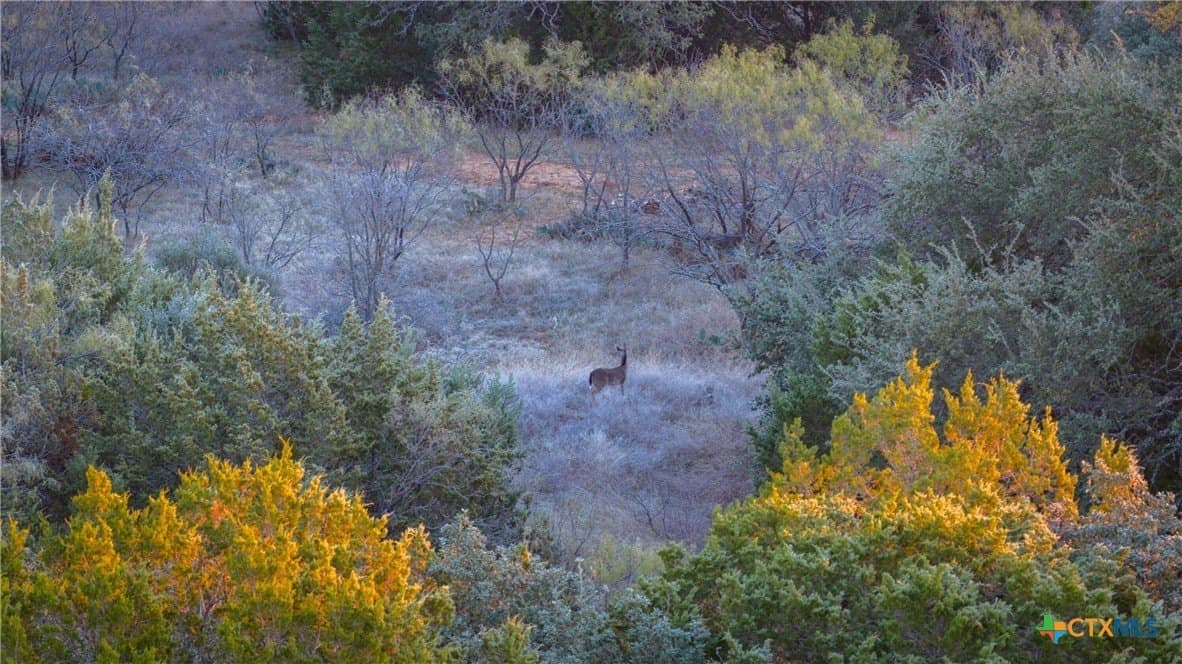 400 acres in McCulloch County - photo 25