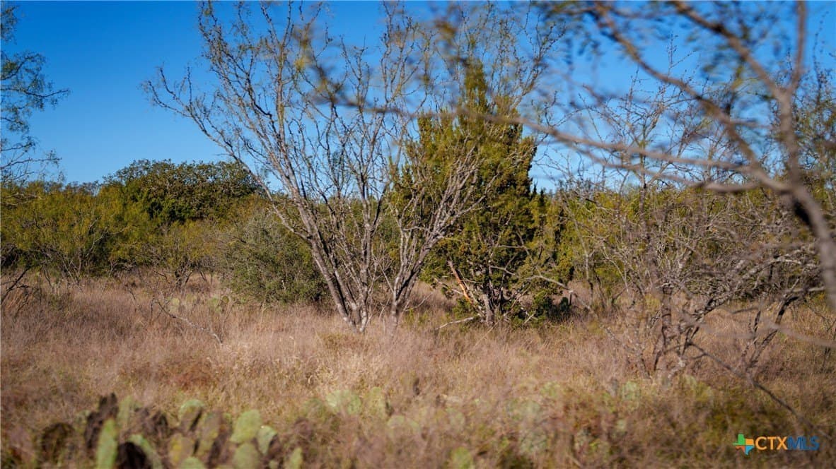 400 acres in McCulloch County - photo 8