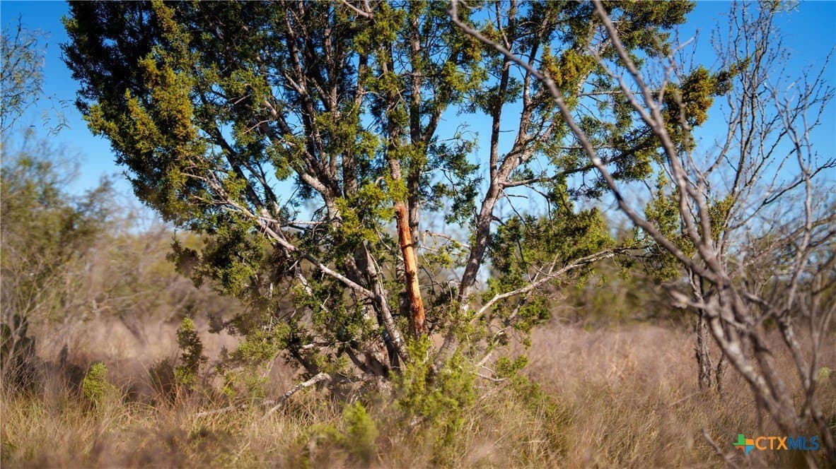 400 acres in McCulloch County - photo 4