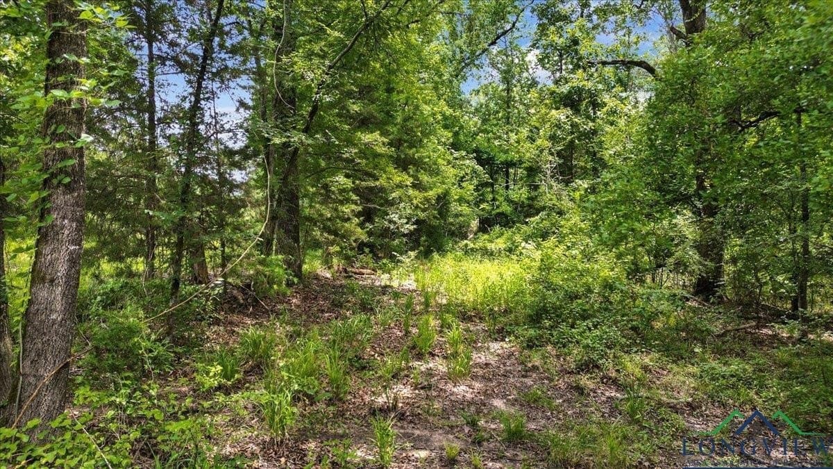 20 acres in Wood County - photo 9