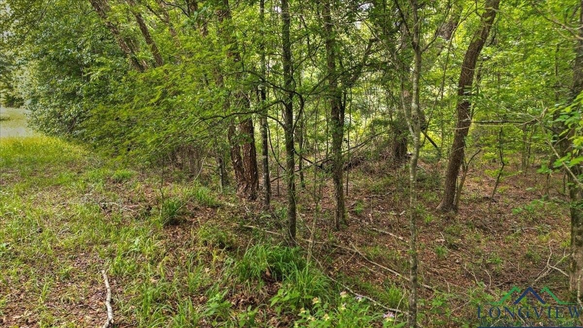 20 acres in Wood County - photo 17