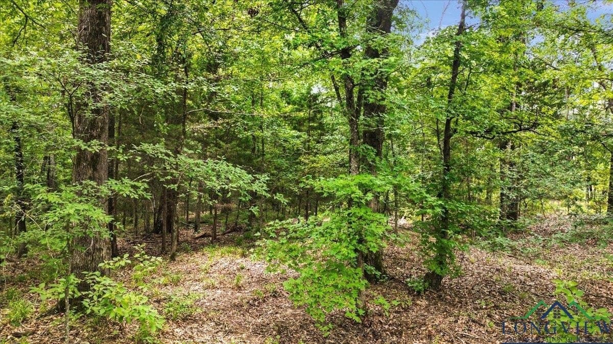 20 acres in Wood County - photo 10