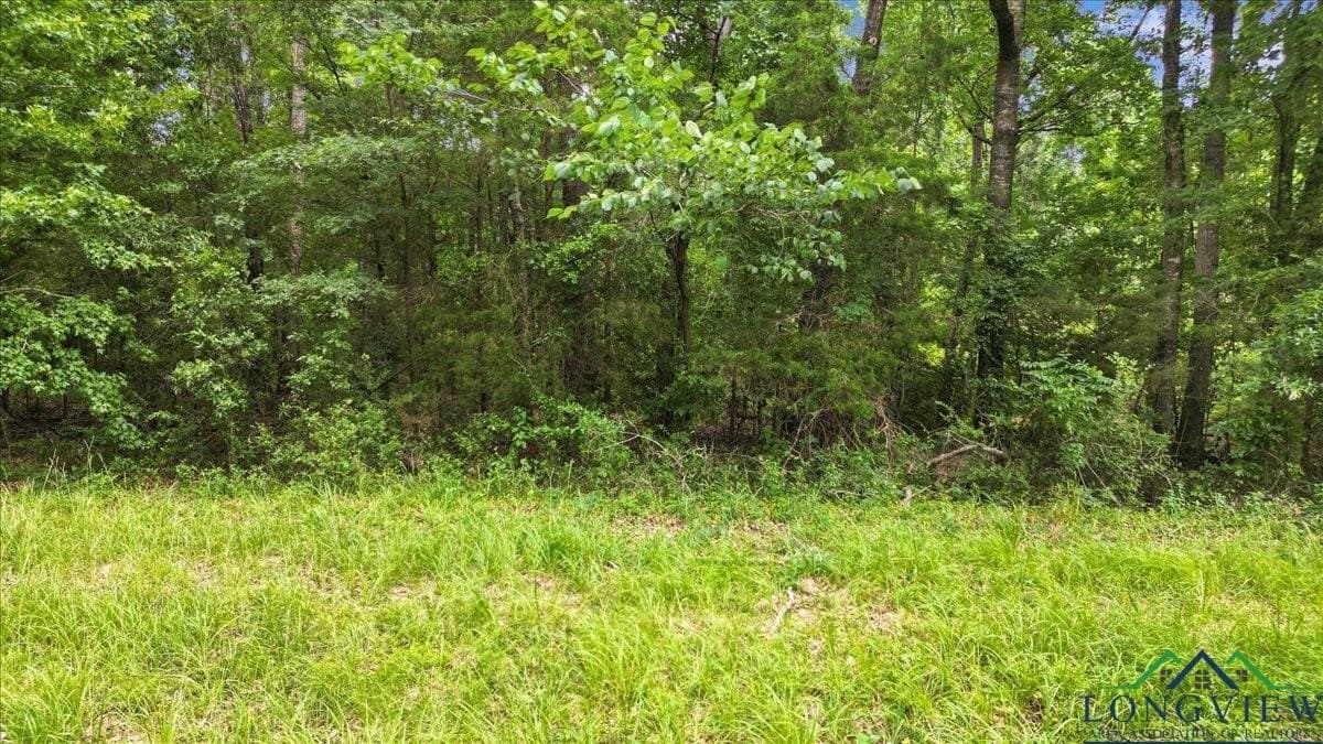 20 acres in Wood County - photo 12