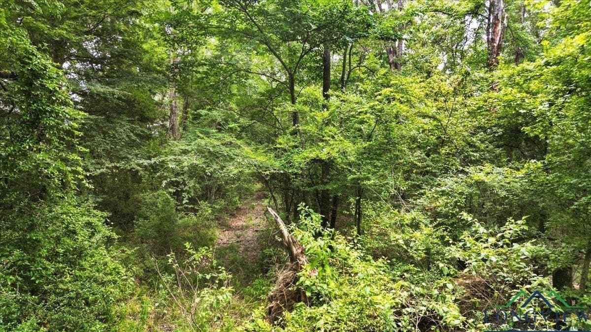 20 acres in Wood County - photo 11